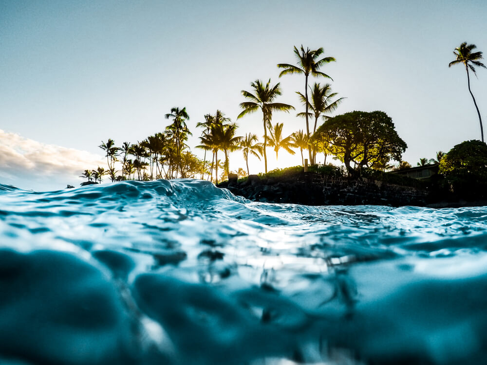 Fisheye's view of island beach with sun shining behind palm trees.
