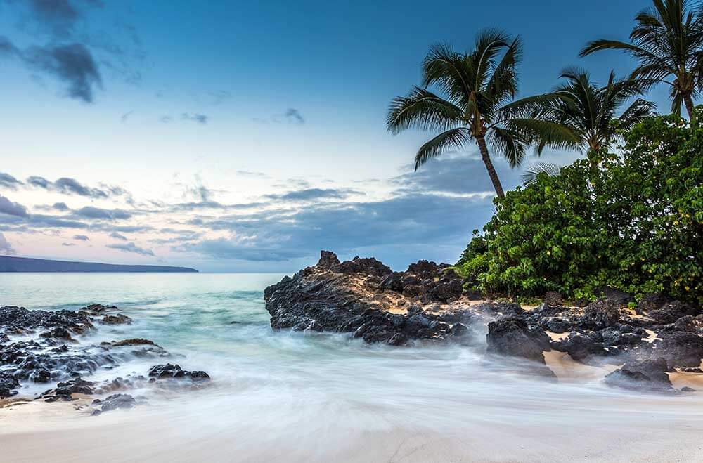 Long exposure of waves flowing off rocky beach with palm trees.