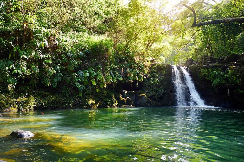 Tropical waterfall flowing into a green pond